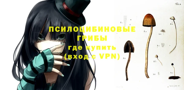 прущие крисы Абаза