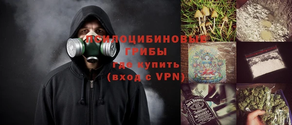 бошки Пролетарск