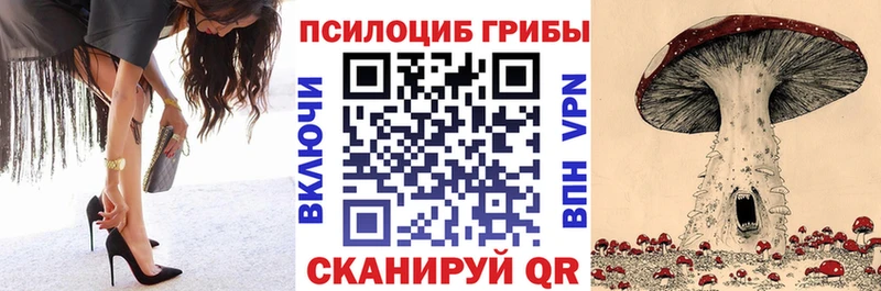 Псилоцибиновые грибы GOLDEN TEACHER  закладка  Спас-Клепики 